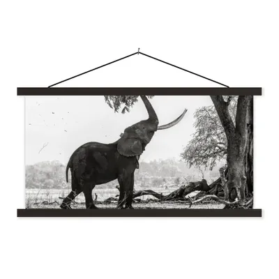 Produktbild von MuchoWow® Textilposter Elefant - Baum - Tiere - Schwarz und weiß 90x45 cm mit schwarzem Rahmen - Klemmleisten