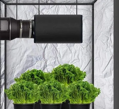 Obrázok produktu pre Uhlíkový filter na odsávanie pre rast rastlín, 350 m³/h, priemer 100 mm