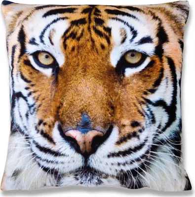 Produktbild von Kissenbezug Fotodruck Motiv in 40x40 cm, Flauschig weiche Kissenhülle ohne Füllung, Motiv: Tiger