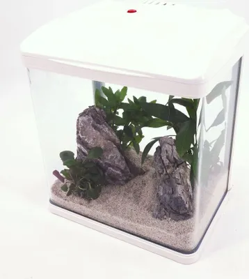 Produktbild von HR-300 Weiß Nano Aquarium – Komplettaquarium mit LED