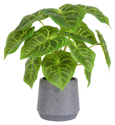 Image de Plantes d'intérieur artificielles, plantes succulentes artificielles en pot, 32 cm, grande plante verte artificielle, feuilles artificielles, pour la maison, le bureau