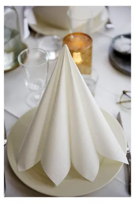 Produktbild von 50 x Dunilin®-Serviette 40x40cm Weiß 1/4 Falz Zellstoff 70 g/m2