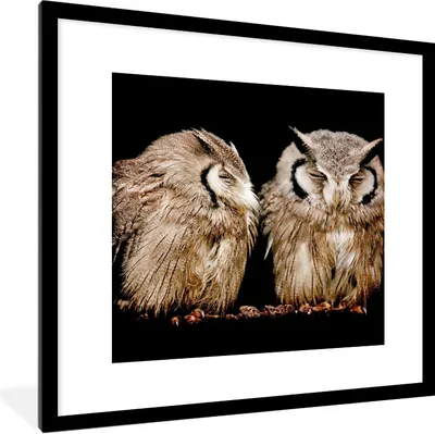 Produktbild von MuchoWow® Gerahmtes Poster Eule - Vogel - Schwarz 40x40 cm - Poster mit Schwarzem Bilderrahmen Wandposter Rahmen Foto Bilder - Poster - Plakat im Rahmen