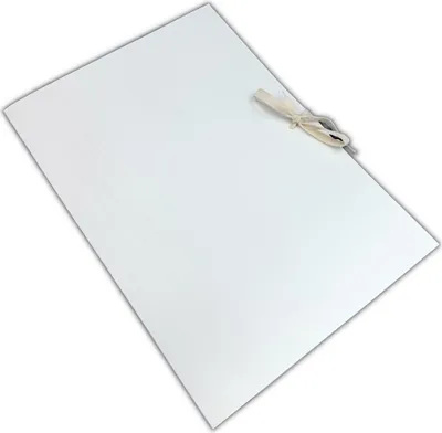 Produktbild von Säurefreie Karton-Bindemappe 240g/260g TW32x23x5 ARO