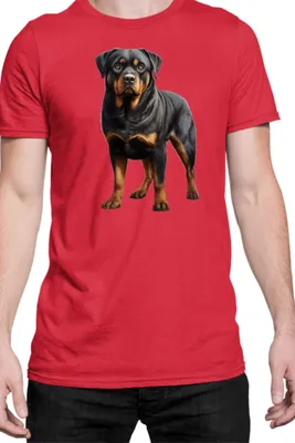 Zdjęcie produktu dla Męska Koszulka Dogs Breeds Rottweiler Dog Breed 005, Man M / Czerwony