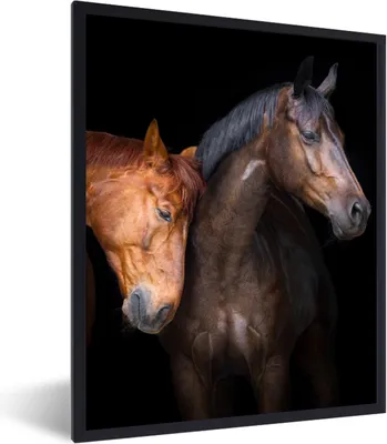 Produktbild von MuchoWow® Gerahmtes Poster Pferde - Tiere - Porträt - Braun 60x80 cm - Poster mit Schwarzem Bilderrahmen Wandposter Rahmen Foto Bilder - Premium - Wanddeko Wohnzimmer