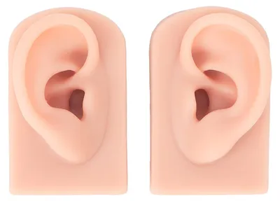 Silikon-Ohr-Modell, 2 Stück, weich, für Piercing-Übungen, Lehrmittel