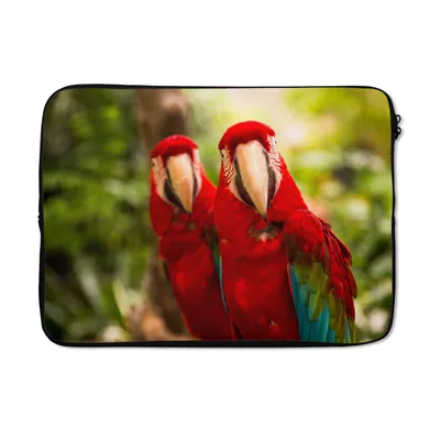 Produktbild von MuchoWow® Laptop Hülle 14 ZollPapageien - Vögel - Dschungel Laptoptasche - Laptoptasche - Stoßsicher - Schutzhaube
