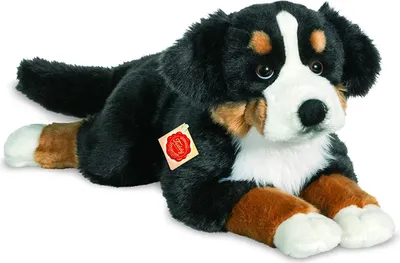 Produktbild von Teddy-Hermann bernský salašnícky pes, približne 60 cm