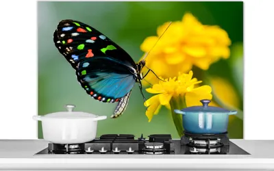 Produktbild von KitchenYeah®  Spritzschutz Küche - Küchenrückwand - Wandschutz für Herd und Spüle - Schmetterling - Blume - Tier - Insekt 100x65 - Alu-Dibond (Alternative zum Spritzschutz aus Glas) - Hitzebeständig -