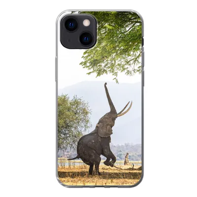 Produktbild von MuchoWow® Handyhülle Schutzhülle Hülle für iPhone 13 Elefant - Baum - Blätter Silikon Softcase Handy Hülle - Karteninhaber