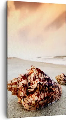 Produktbild von Bild auf Leinwand - Leinwandbild - Strand schön karibisch bunt - 45x80cm - Wand Bild - Wanddeko - Leinwanddruck - Bilder - Kunstdruck - Wanddekoration - Leinwand bilder - Wandkunst - PA45x80-2123