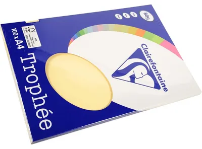 Immagine prodotto di Clairefontaine 4106C Clairefontaine Kopierpapier Trophée chamois DIN A4 80 g/qm 100 Blatt