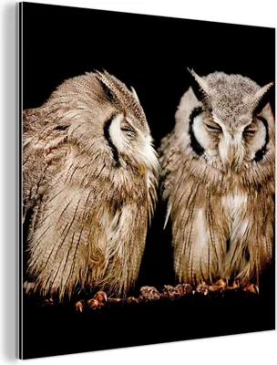 Obrázek produktu pro Nástěnná dekorace Kovový kovový obraz Wall Art 50x50cm Sova - Pták - černá Muchowow Hliníkové obrazy