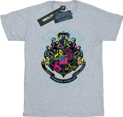Produktbild von Harry Potter - T-Shirt für Damen BI1262 (M) (Grau)