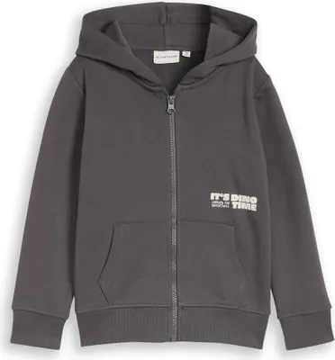 Produktbild von Tom Tailor 1049960_104/110, Kind, Männlich, Kapuzenpullover, Dunkles Grau, Langärmlig, 104/110