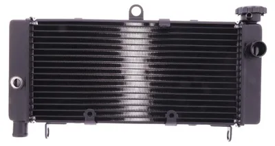 Immagine prodotto di Radiatore acqua JMP 016-0037 per Honda CB 600