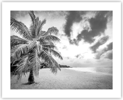 Produktbild von Poster - Poster ohne Rahmen - Monochrom Strand Wolken - 50x40 cm - Wand Bild - Wanddeko - Wandbilder - Kunstposter - Wandposter - Bilder - Kunstdruck - Wanddekoration - Wandbild - P2XAA50x40-4677