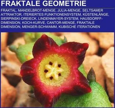 Produktbild von Fraktale Geometrie