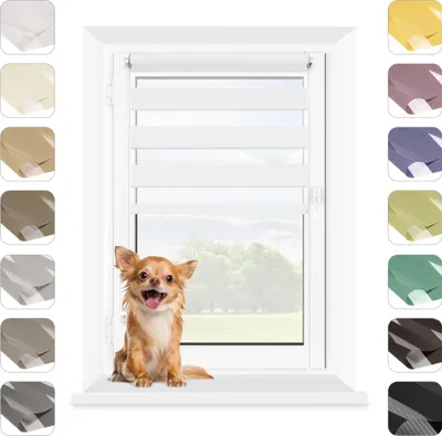 A chihuahua sits on a windowsill in front of a window with blinds. Swatches of different colored blinds are displayed on the left and right sides of the image.
