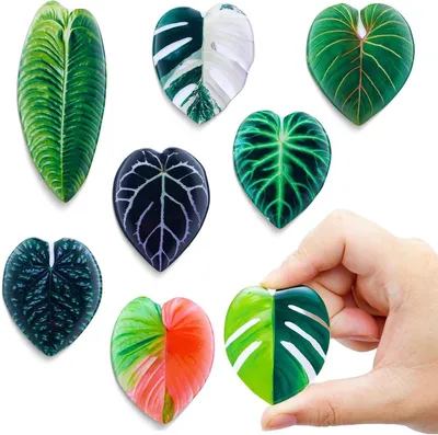Productafbeelding van Decoratieve Blad Magneten - Acryl Bladeren - Keuken Decoratie - Natuurlijke Vormgeving - 8 Stuks - Multicolor