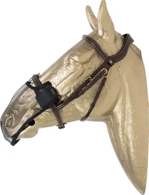 Obrázok produktu pre Kentucky Horsewear Sieťka na nos proti muchám Sieťka na nos proti muchám Čierna stredná