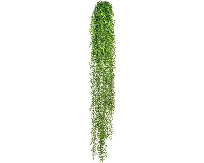 Produktbild von Kunstpflanze Rosushänger Höhe: 160 cm grün