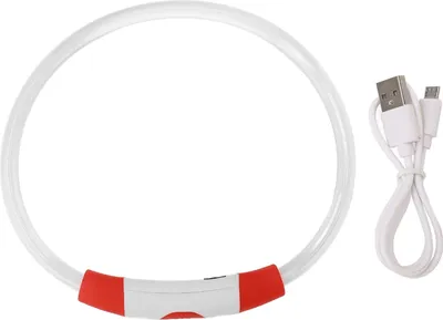 Image de Collier LED pour chien, rechargeable, collier USB flash, forte luminosité, pour chiens, sécurité nocturne, rouge