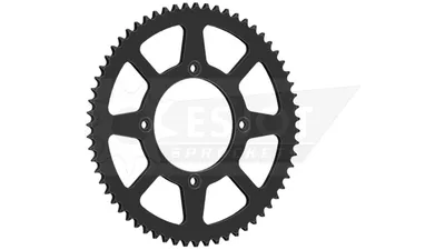 Immagine prodotto di Pignone ESJOT 428 56T acciaio nero