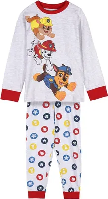 Image de Pyjama pour enfant The Paw Patrol Gris - 2 ans
