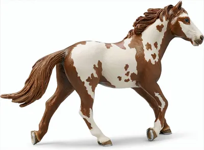 Produktbild von SCHLEICH 13616 Pinto Hengst