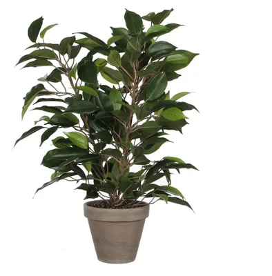 Produktbild von Kunstpflanze Birkenfeige Ficus natasja Ø 30 H 40 cm grün