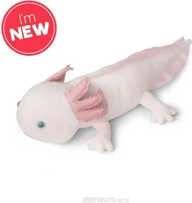 Zdjęcie produktu dla Pluszowy Axolotl