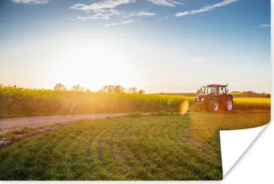 Produktbild von MuchoWow® Poster Traktor - Gras - Sonnenuntergang 120x80 cm - Bilder