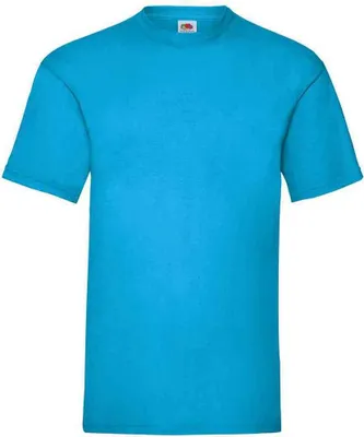 Image de Fruit of the Loom - "Valueweight" T-Shirt für Herren RW9334 (M) (Azure Blau)
