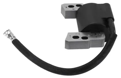 Image de Module de bobine d'allumage en métal 802574 796964, universel pour Briggs & Stratton