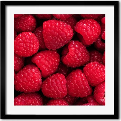 Produktbild von Bild - 50 cm x 50 cm - MDF - Rahmen, Wandkunst - Himbeeren