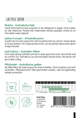 Produktbild von Pflücksalat Australischer Gelber | Pflücksalatsamen von Hortitops