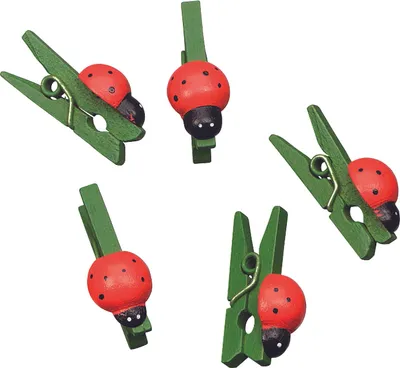 Produktbild von 6XKNORR prandell 218001537 M.käferklammer2,5cm