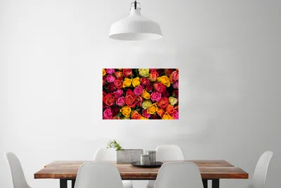 Produktbild von MuchoWow® Poster Rosen - Rosa - Rot 60x40 cm - Schlafzimmerdekoration