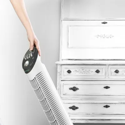 Image de CECOTEC 05919 - Ventilateur colonne EnergySilence 790 Skyline