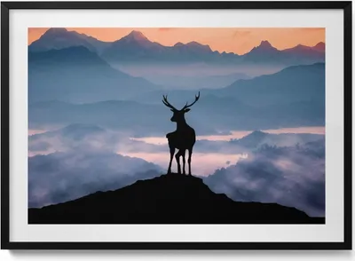 Produktbild von Hirsche auf einem Berggipfel– Wandbild mit Rahmen – Gerahmtes Bild  – Wanddekoration – 100x70 cm –  Schwarz Rahmen
