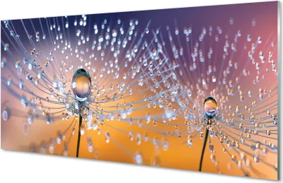 Produktbild von Glasbilder 120x60 Wandkunst Tropfen Makro Löwenzahn