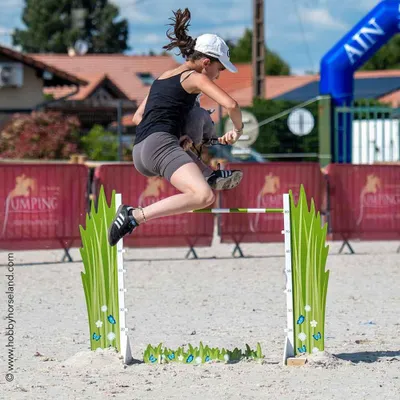 Imagen del producto de ByASTRUP – Obstáculo de salto para caballos de juguete – Flores