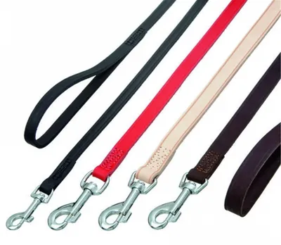 Produktbild von Karlie Rondo Leine genäht - Rot, 100cm/20mm