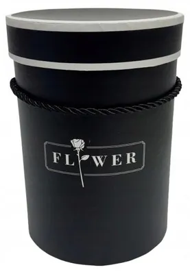 Obrázek produktu pro Vipolimex Flower box na květiny, výška 19 cm