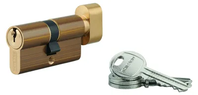Image de Cylindre de serrure HG5, anti-arrachement, 30Bx30mm, laiton, 3 clés - THIRARD