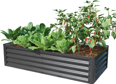 A raised garden bed filled with various plants, including lettuce and chili peppers, against a white background.