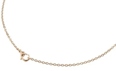 Produktbild von Boccia Damen Halskette 08049-03 Anker Titan roségold IP