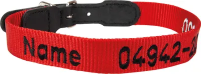 Produktbild von Halsband in Rot mit gesticktem Namenzug Hundehalsband Halsweite von 52-57 cm